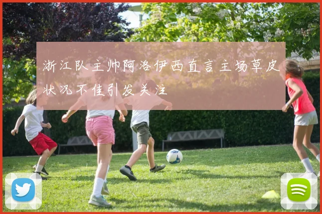 浙江队主帅阿洛伊西直言主场草皮状况不佳引发关注